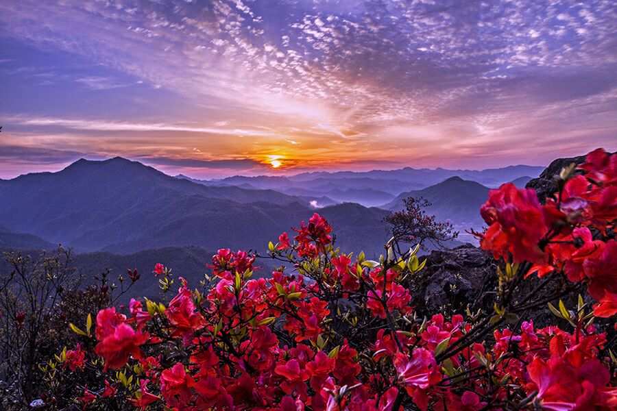 传承红色基因，做忠诚奋进的航发人