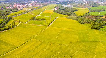 河南大别山干部学院与金兰山街道卓湾社区举办“情暖金秋 爱在重阳”敬老爱老主题活动