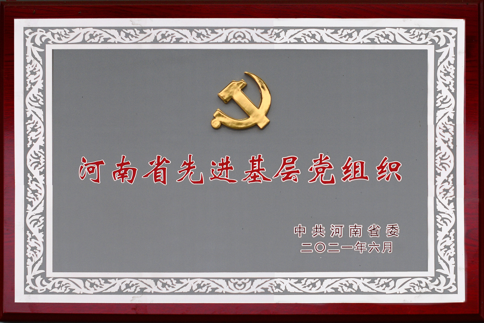 河南省先进基层党组织.jpg